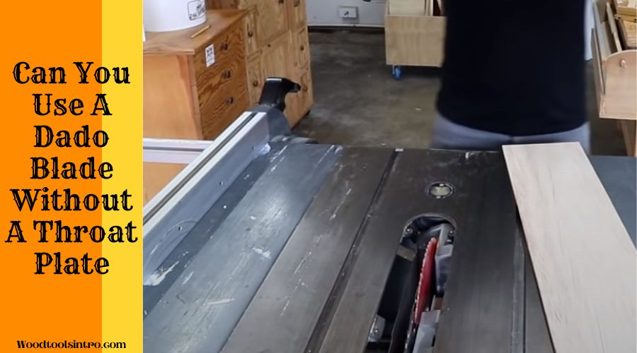 Can You Use A Dado Blade Without A Throat Plate